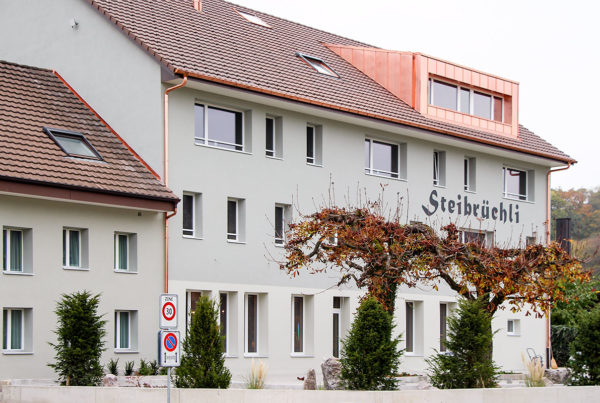 Umgebungsgestaltung Restaurant Steibrüchli, Brugg