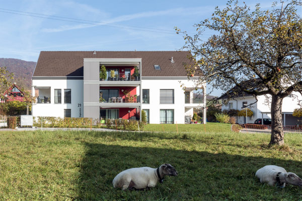 Neubau Mehrfamilienhaus, Küttigen